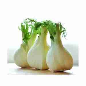 Florence Fennel SeedsÂ 