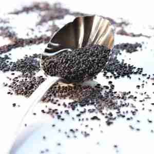 Lemon Basil Seeds