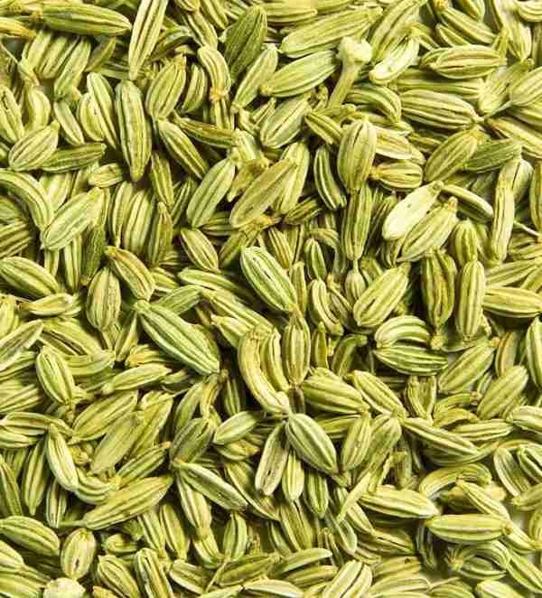 Fennal Florence Seeds
