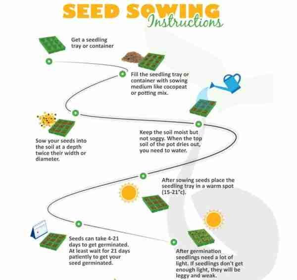 Sowing Instructions