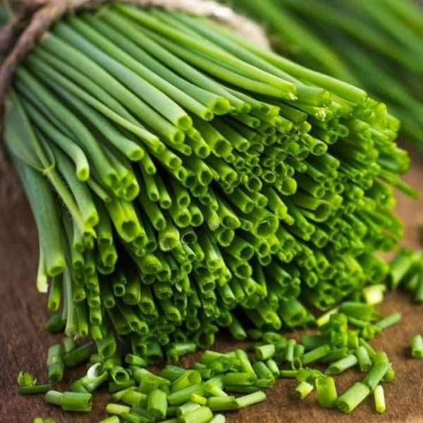 Chives Herb Seeds