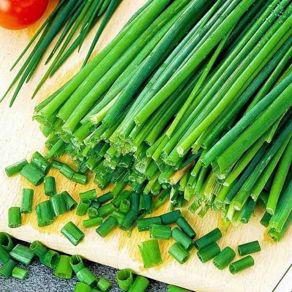 Garlic Chives Herb Seeds