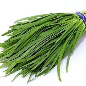 Garlic Chives Herb Seeds