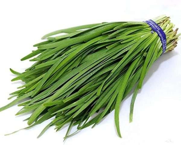 Garlic Chives Herb Seeds