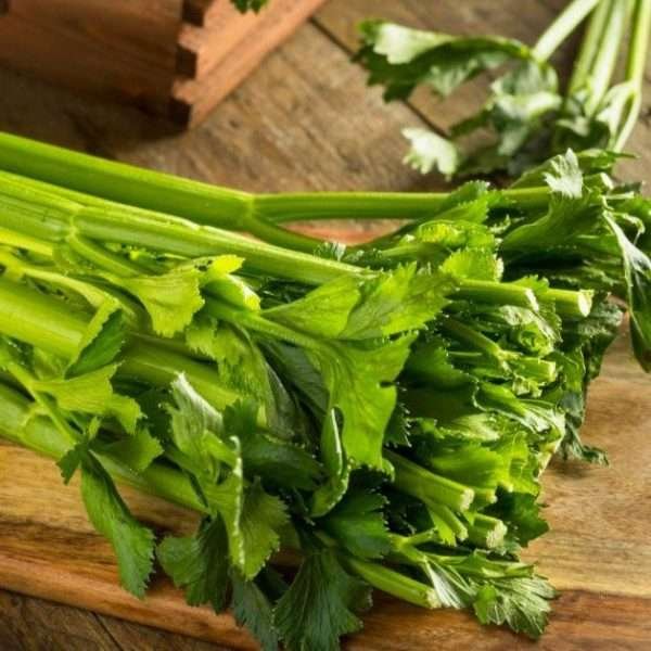 Herb Celery Seeds