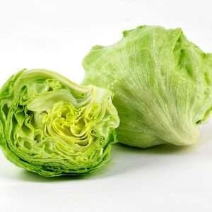 Lettuce Ice Burg Herb Seeds