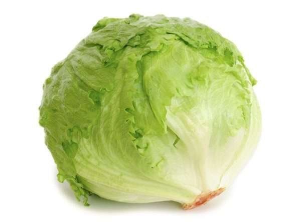 Lettuce Ice Burg Herb Seeds