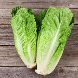 Lettuce Romaine Herb Seeds