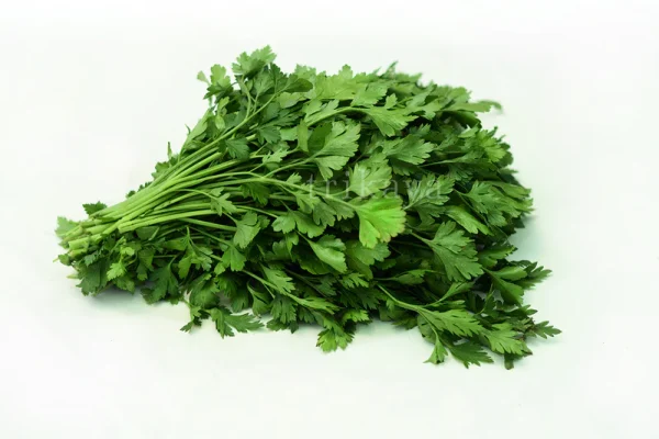 Parsley Flat Herb Seeds